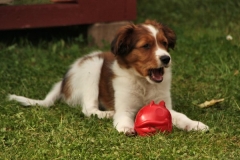 WELPEN_023